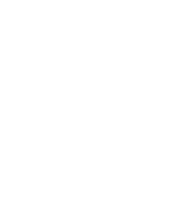 ElevateX