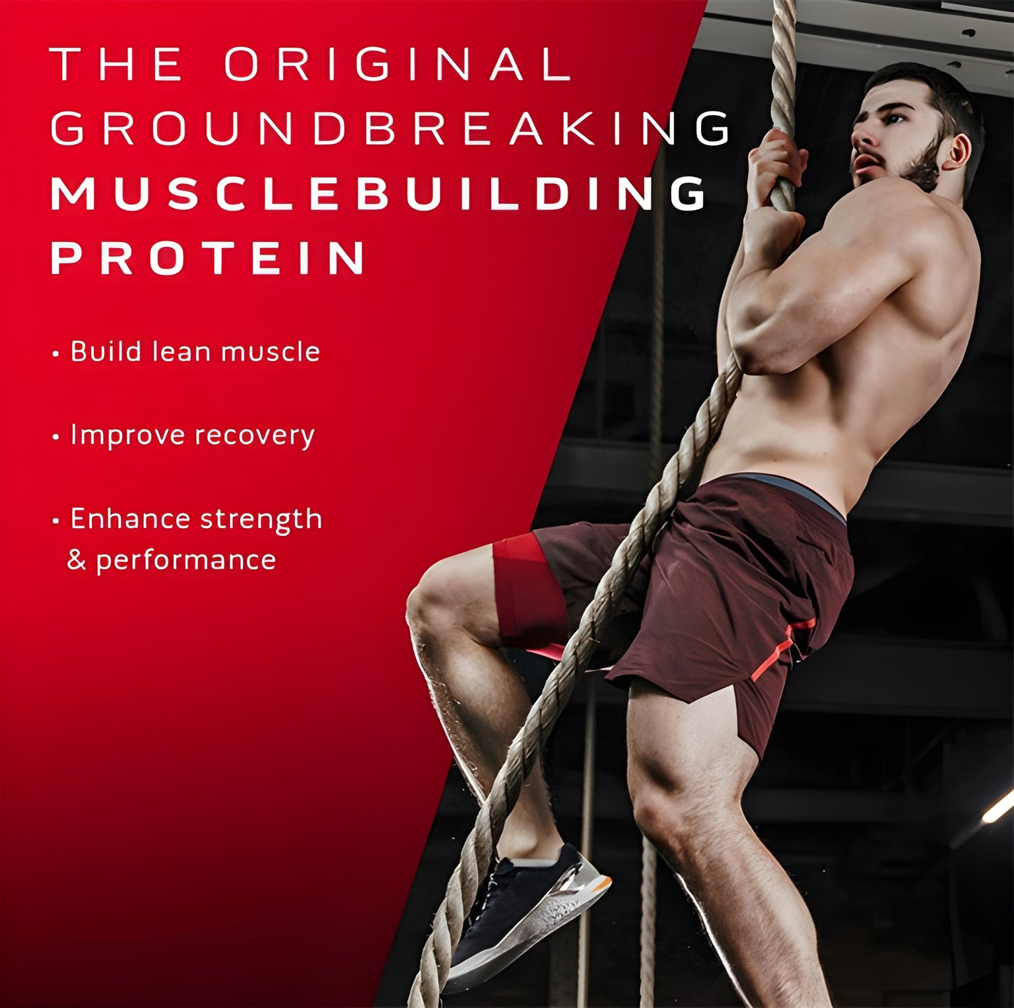 Muscletech NitroTech Whey Protein