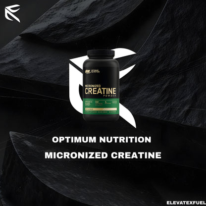 Optimum Nutrition Micronized Creatine